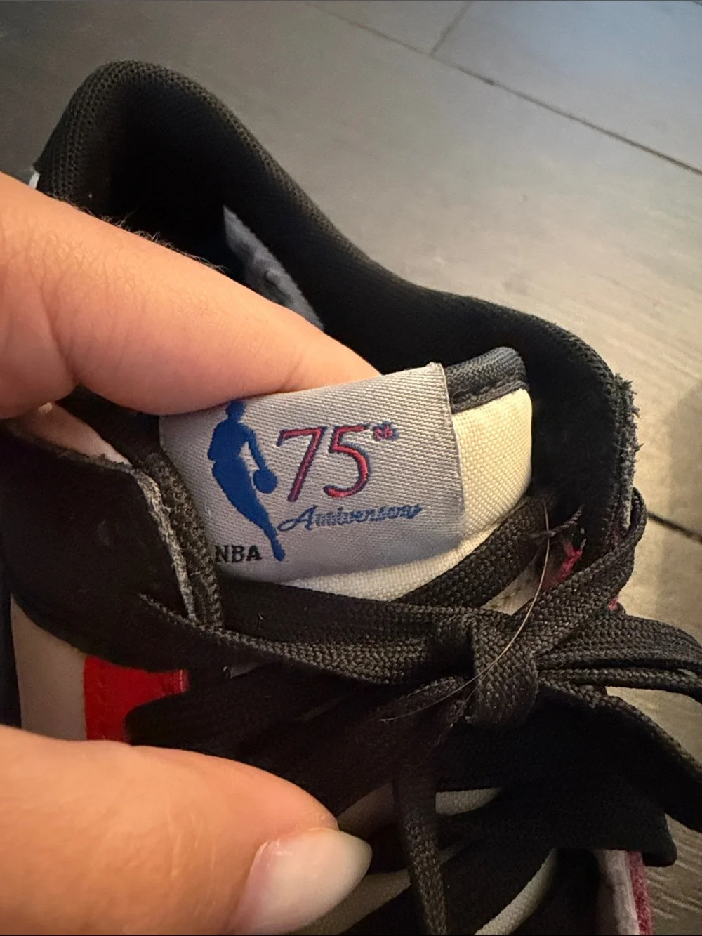 Nike Dunk Low EMB “NBA 75th Anniversary – Chicago